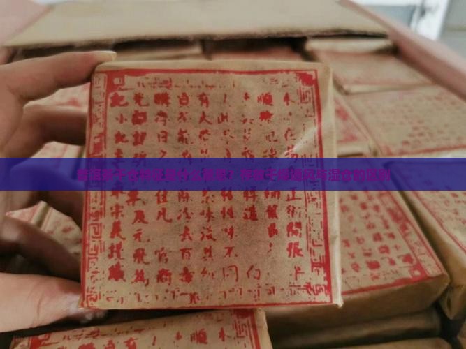 普洱茶干仓特征是什么意思