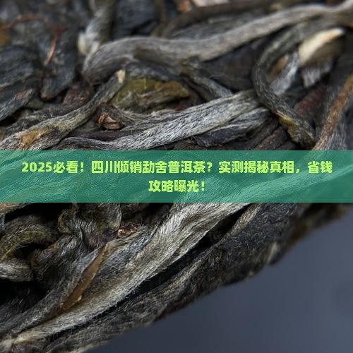四川倾销勐舍普洱茶
