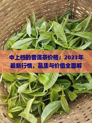 中上档的普洱茶价格