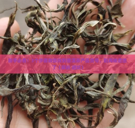 普洱茶产品货号是什么