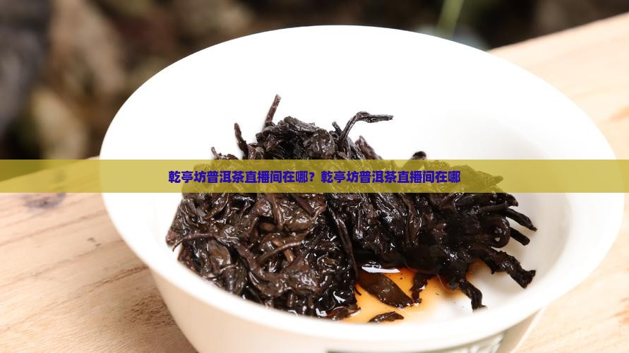 乾亭坊普洱茶直播间在哪