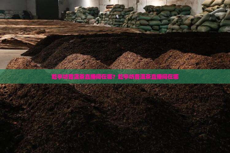 乾亭坊普洱茶直播间在哪