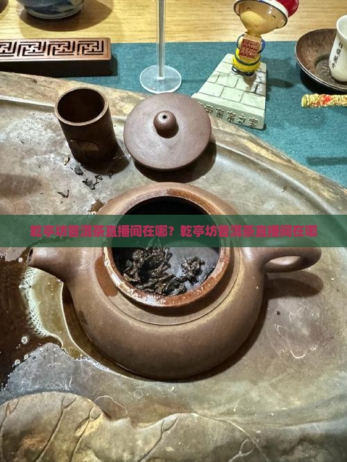 乾亭坊普洱茶直播间在哪