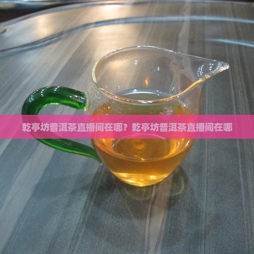 乾亭坊普洱茶直播间在哪