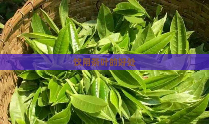 饮用茶叶的好处