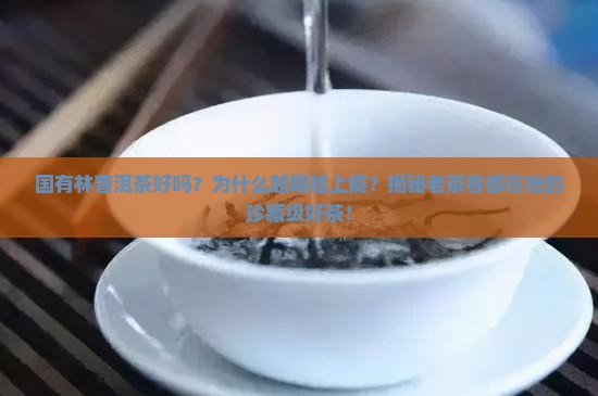 国有林普洱茶好吗