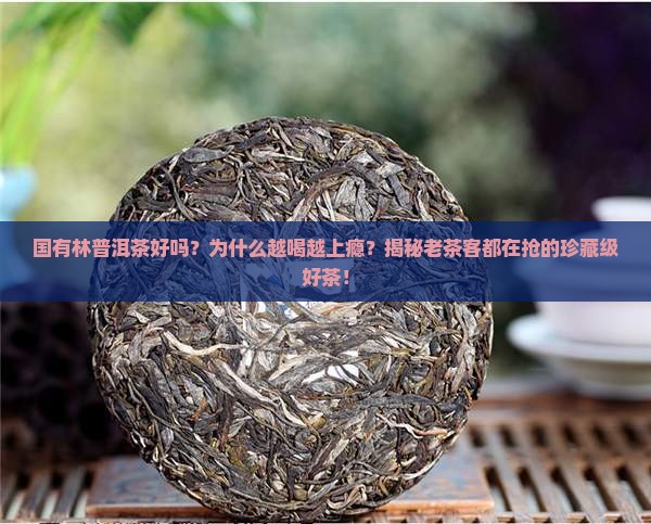 国有林普洱茶好吗