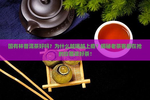 国有林普洱茶好吗