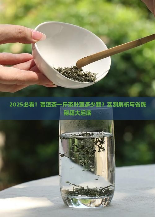 普洱茶一斤茶叶有多少颗