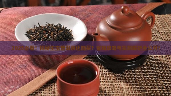 能买生虫普洱茶