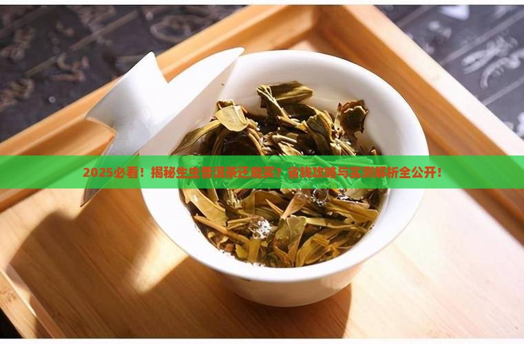 能买生虫普洱茶