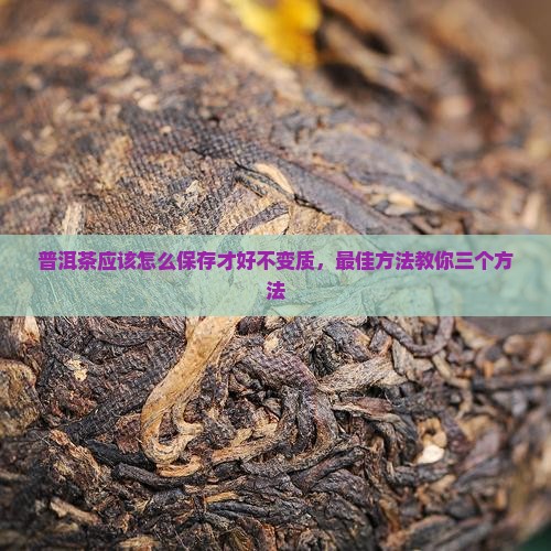 普洱茶应该怎么保存
