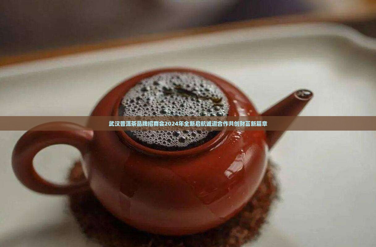 武汉普洱茶品牌招商会
