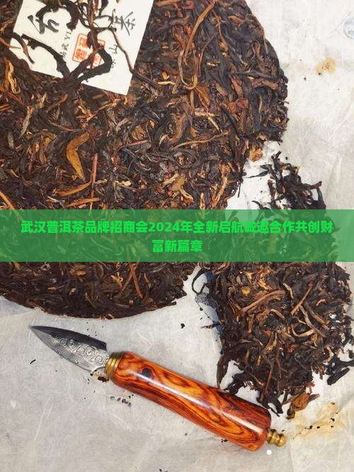 武汉普洱茶品牌招商会