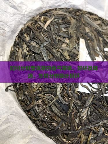 如何分辨普洱茶的香气