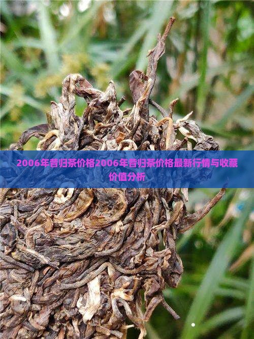 2006年昔归茶价格