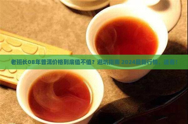 老班长08年普洱价格