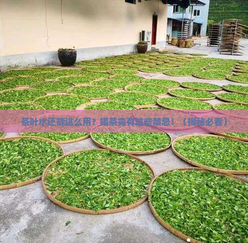 茶叶水的用处喝茶的禁忌