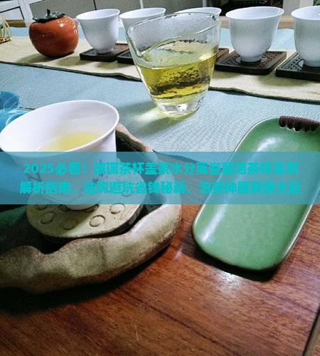 玻璃茶杯盖茶水分离瓷器泡茶杯