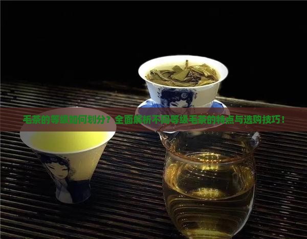 毛茶的等级如何划分 毛茶的等级如何划分