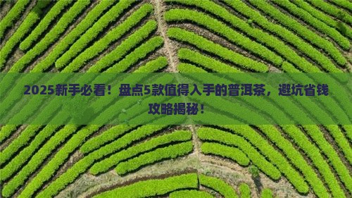 值得做的普洱茶有哪些品种