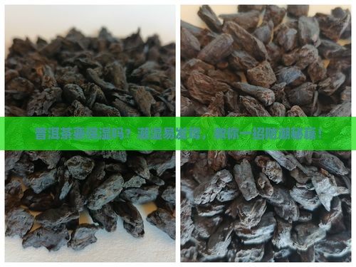 普洱茶要保湿吗