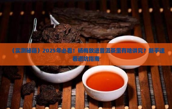 杨梅可以放在普洱茶里吗