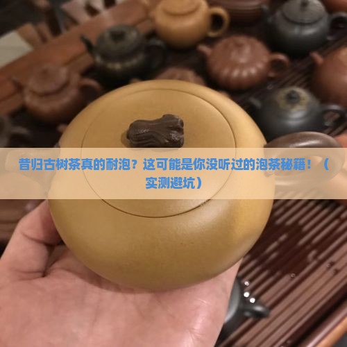 昔归古树茶耐泡