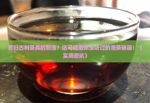 昔归古树茶耐泡