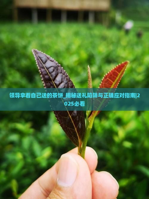 领导拿着自己送的茶饼