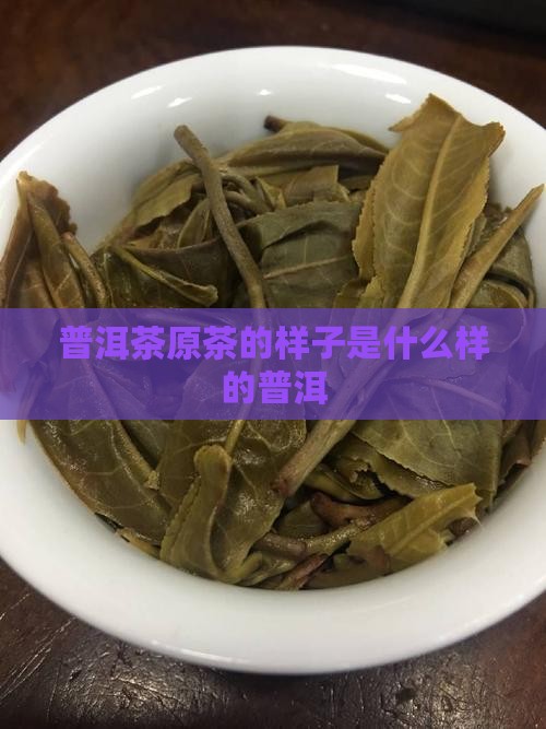 普洱茶原茶长啥样子的