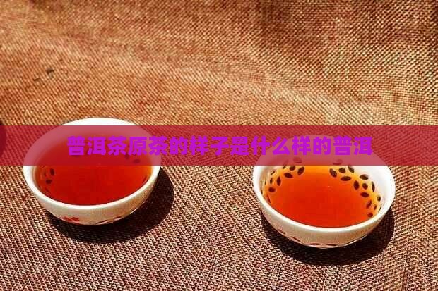 普洱茶原茶长啥样子的