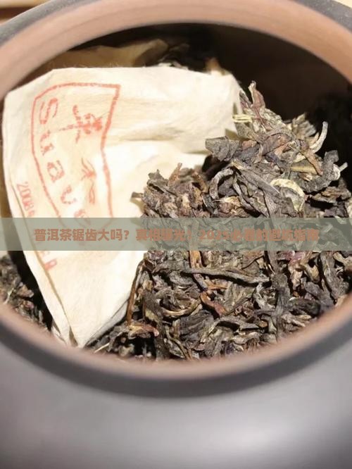 普洱茶锯齿大吗