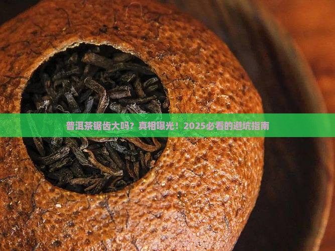 普洱茶锯齿大吗
