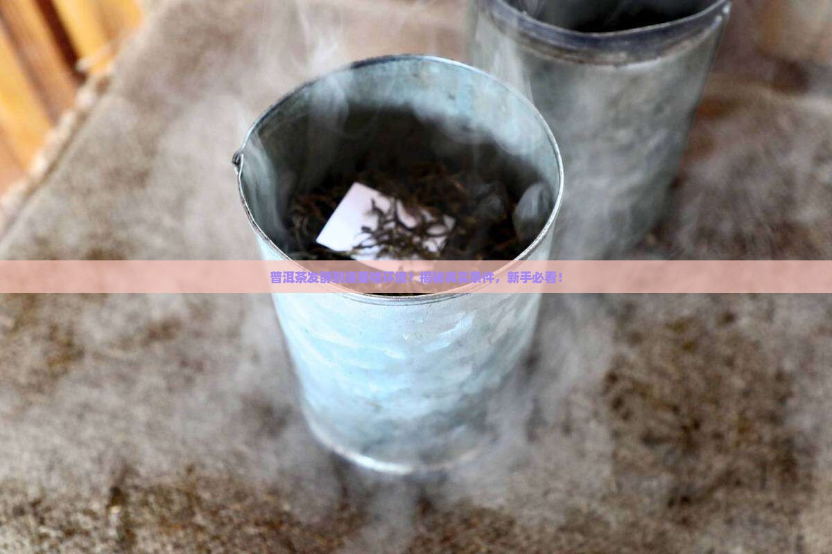 普洱茶发酵适宜的环境
