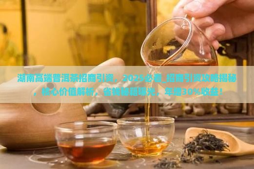 湖南高端普洱茶招商引资