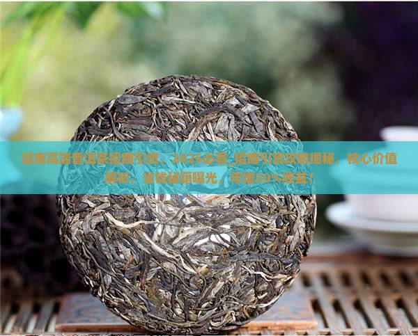 湖南高端普洱茶招商引资