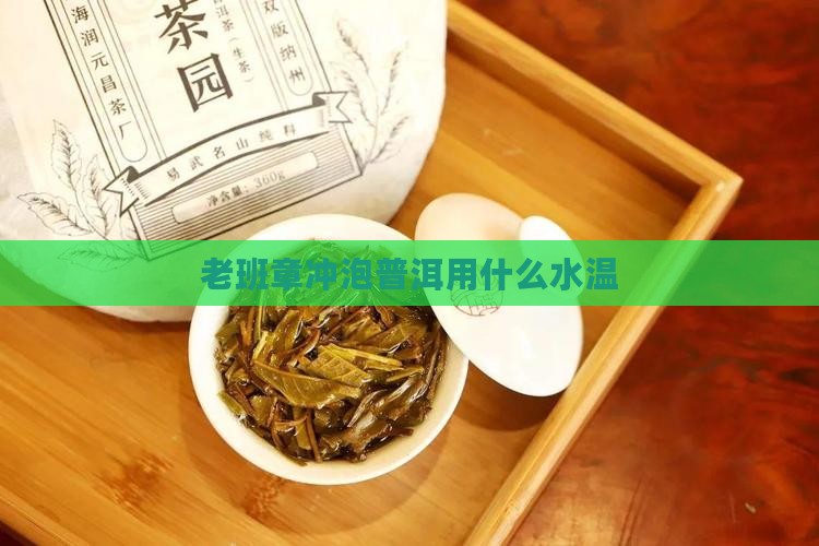 老班章生茶用什么水温