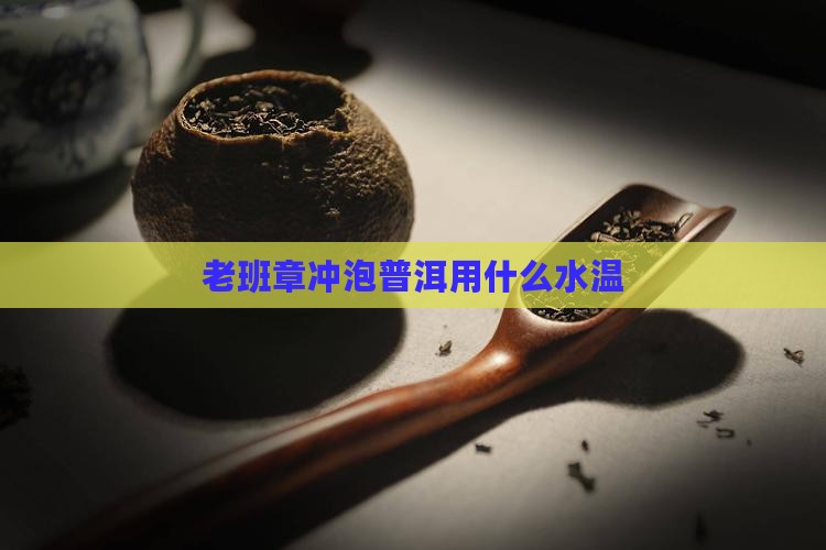 老班章生茶用什么水温