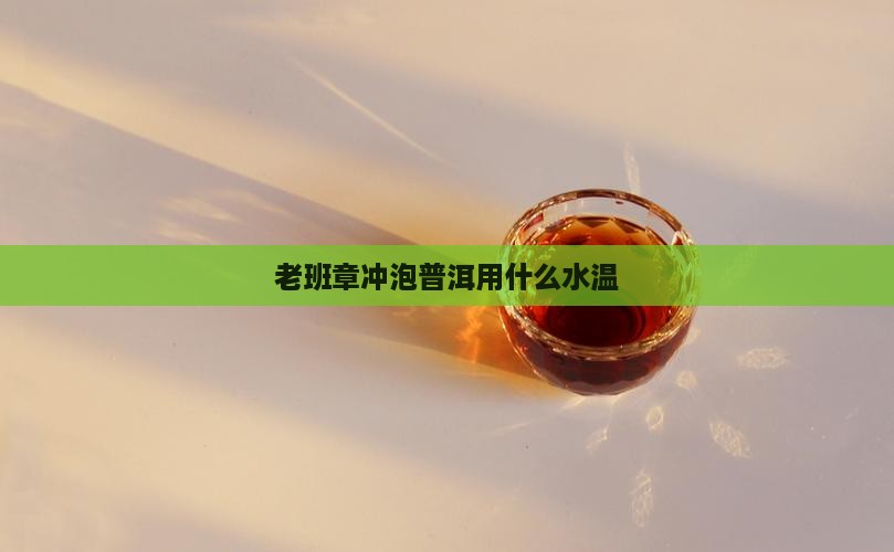 老班章生茶用什么水温