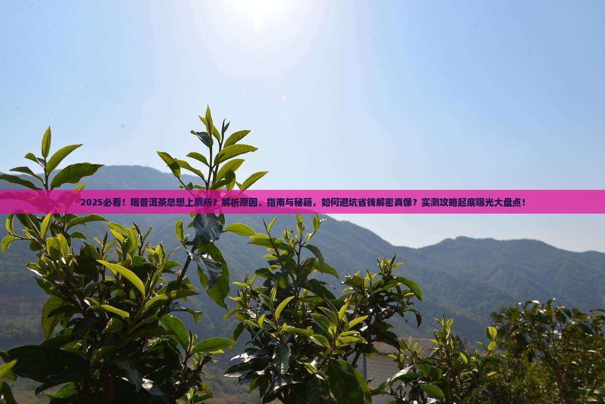 喝普洱茶很容易上厕所