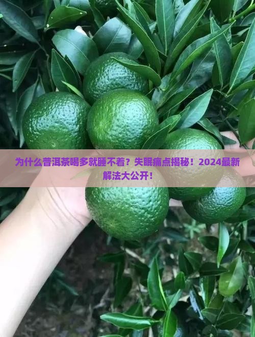 普洱茶喝多睡不着