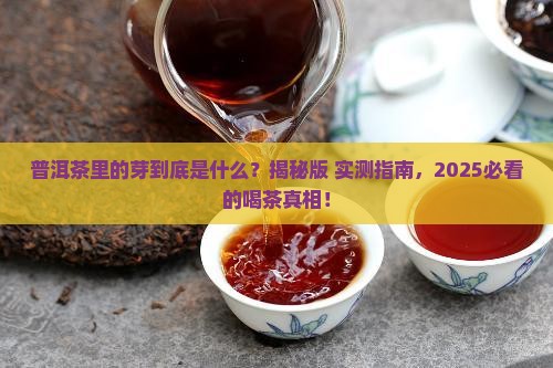 普洱茶里的芽是什么