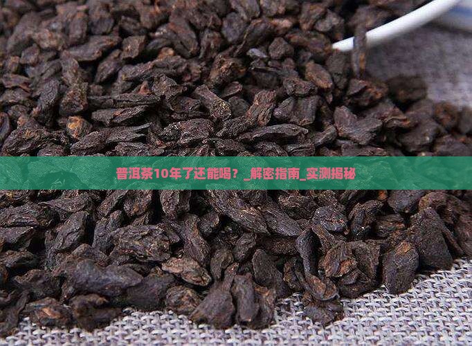普洱茶10年了还能喝