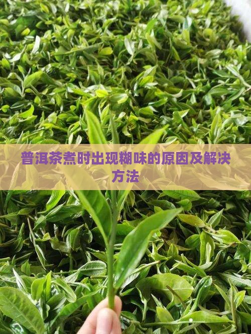 普洱茶煮的时候有糊味