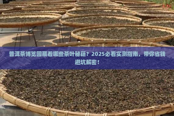 普洱茶博览园有卖茶叶的吗