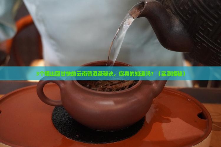 回甘快云南普洱茶