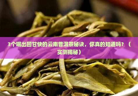 回甘快云南普洱茶