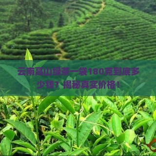 云南高山绿茶一袋180克多少钱