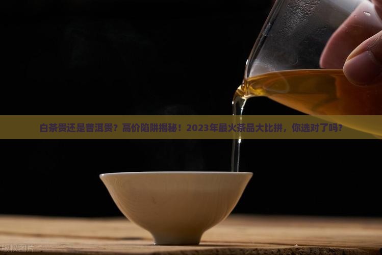白茶贵还是普洱贵